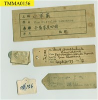 家鼷鼠藏品圖，第11張
